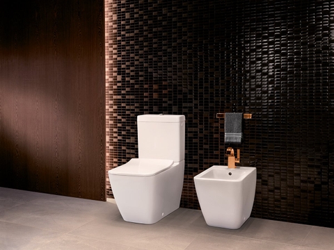Bệ ngồi và nắp bồn cầu Villeroy & Boch Venticello Vietceramics (Đan Mạch)