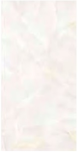Gạch Đồng Tâm 30x60 HOABIEN001