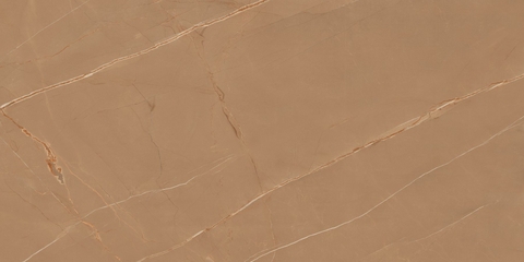 Gạch 612ARGO Vietceramics 60x120cm (Marble 2)