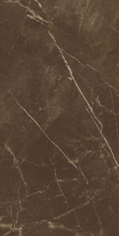 Gạch 612COBRSALOLA Vietceramics 59.8x119.8cm (Marble 4)