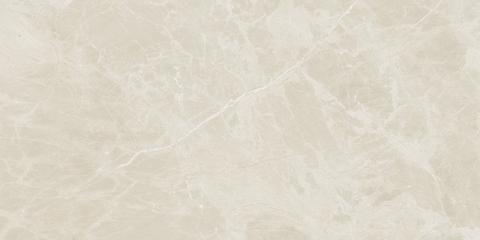 Gạch 612JACR Vietceramics 60x120cm (Jatoba)