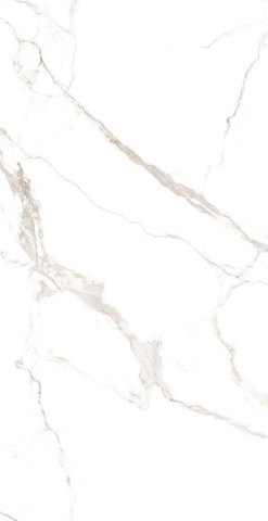 Gạch 612LOGRGL Vietceramics 60x120cm (Marble 2)
