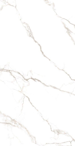 Gạch 612LOGRGL Vietceramics 60x120cm (Marble 2)