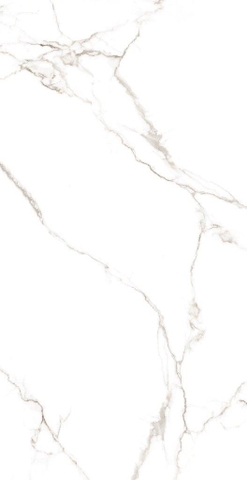 Gạch 612LOGRMA Vietceramics 60x120cm (Marble 2)