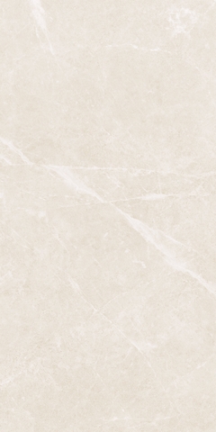 Gạch 612MA26252N Vietceramics 60x120cm (Almera 2)