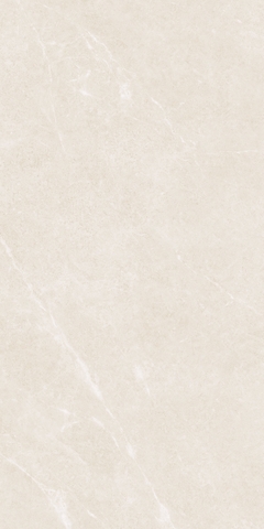 Gạch 612MA26252P Vietceramics 60x120cm (Almera 2)