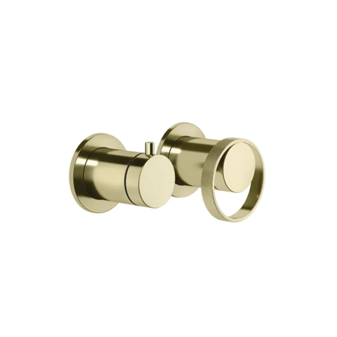 Mặt nạ điều khiển sen tắm hai chức năng gắn tường Gessi Anello Vietceramics (Ý)