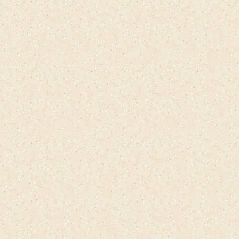 Gạch lát nền Prime 60x60 12008