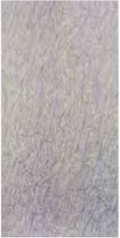 Gạch Đồng Tâm 40x80 KINGPALACEG005