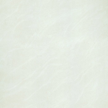 Gạch Taicera 60×60 – P67025N
