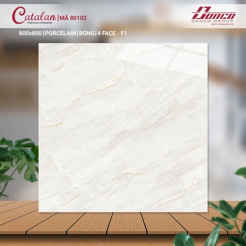 Gạch Catalan 80x80cm 80102