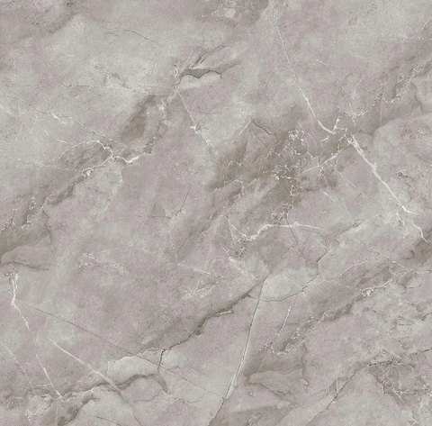 Gạch Catalan 80x80cm 80111