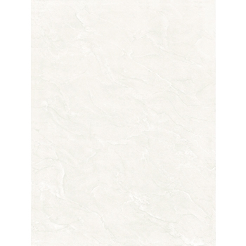 Gạch Viglacera 30×45 B4501