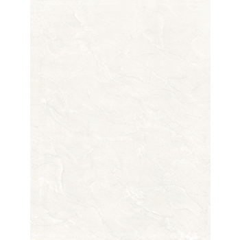 Gạch Viglacera 30×45 B4501