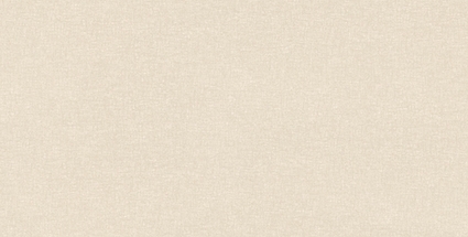 Gạch ốp tường Prime 30x60 09957