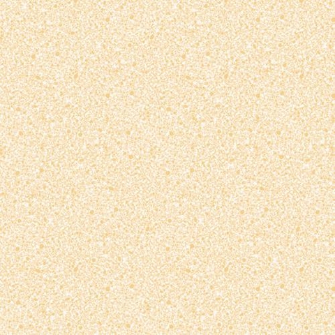 Gạch lát Mikado 50x50 MS5022