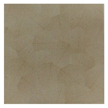 Gạch Đồng Tâm 40×40 – 4040LEAVES003