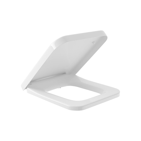Bệ ngồi và nắp bồn cầu Villeroy & Boch Architectura Vietceramics (Hungary)