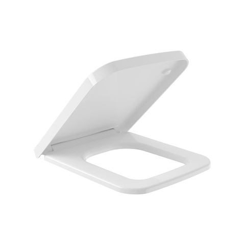 Bệ ngồi và nắp bồn cầu Villeroy & Boch Finion Vietceramics (Áo)
