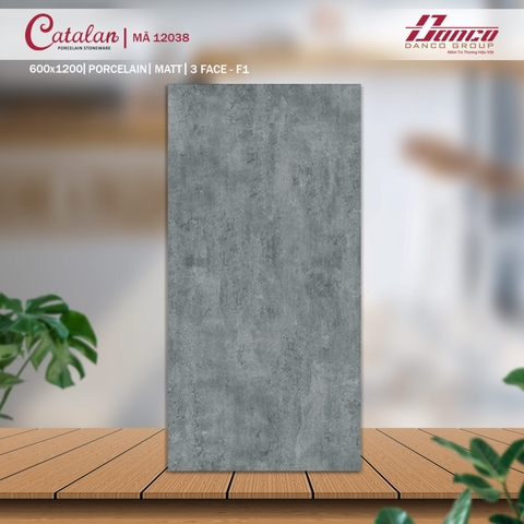 Gạch Catalan 60x120cm 12038