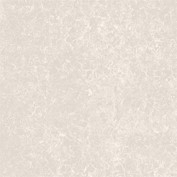 Gạch lát Viglacera Granite 60x60 TS2-617