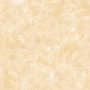 Gạch lát Viglacera Ceramic 60x60 KB605