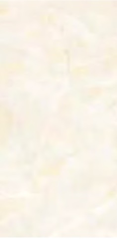 Gạch Đồng Tâm 40x80 THANGLONG002-FP