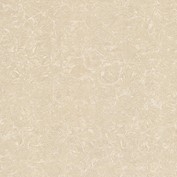 Gạch lát Viglacera Granite 60x60 TS2-612