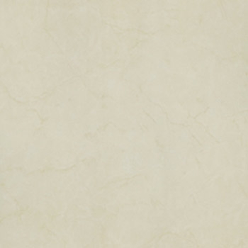 Gạch Taicera 60×60 – P67594N