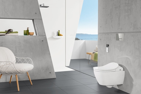 Mặt nạ xả của bồn cầu gắn tường Villeroy & Boch ViConnect Vietceramics (Đức)