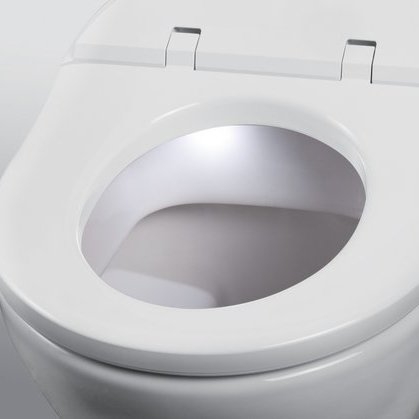 Bệ ngồi và nắp bồn cầu Villeroy & Boch ViClean Vietceramics (Hàn Quốc)