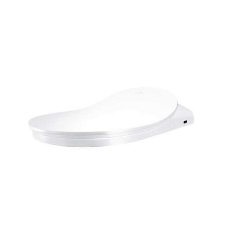 Bệ ngồi và nắp bồn cầu Villeroy & Boch Viclean Vietceramics (Hàn Quốc)