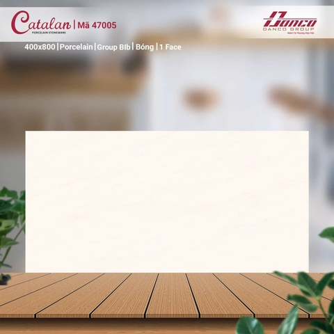 Gạch Catalan 40x80cm 47005