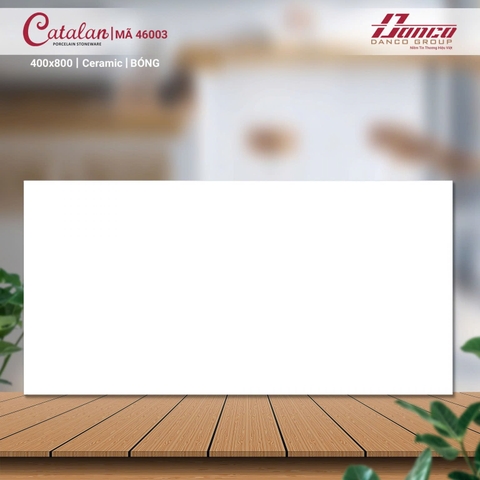 Gạch Catalan 40x80cm 46003