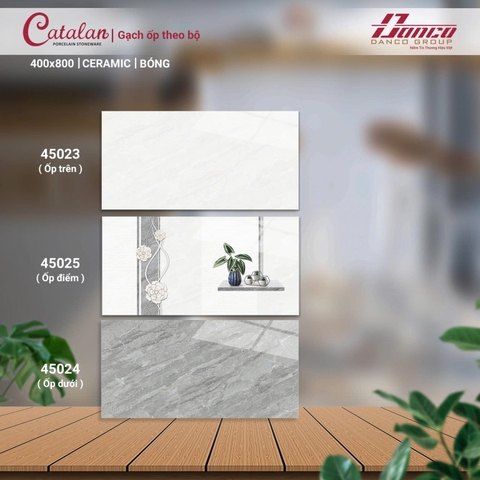 Gạch Catalan 40x80cm 45024