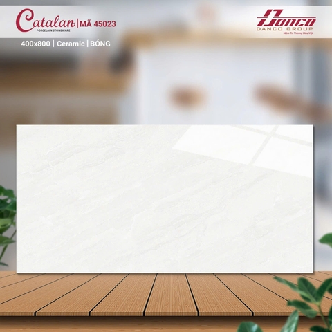 Gạch Catalan 40x80cm 45023