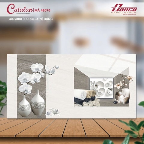 Gạch Catalan 40x80cm 48076
