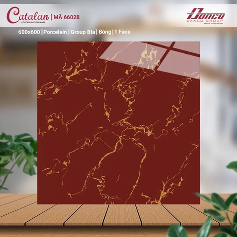 Gạch Catalan 60x60cm 66028