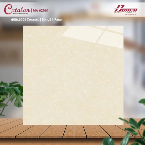 Gạch Catalan 60x60cm 62061