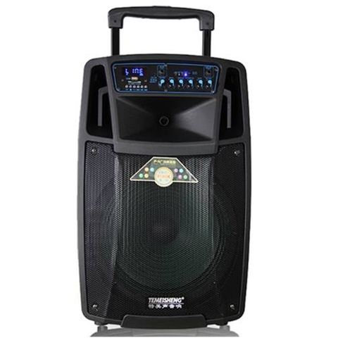 Loa Temeisheng SL1501