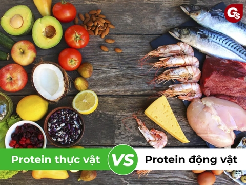So sánh Protein thực vật với Protein động vật - Đâu là sự khác biệt giữa 2 loại đạm này