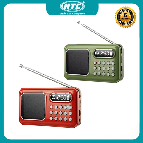 Loa đài FM có bluetooth BANNIXING D-55 có khe thẻ nhớ/ USB / Tai nghe - dùng pin sạc 18650