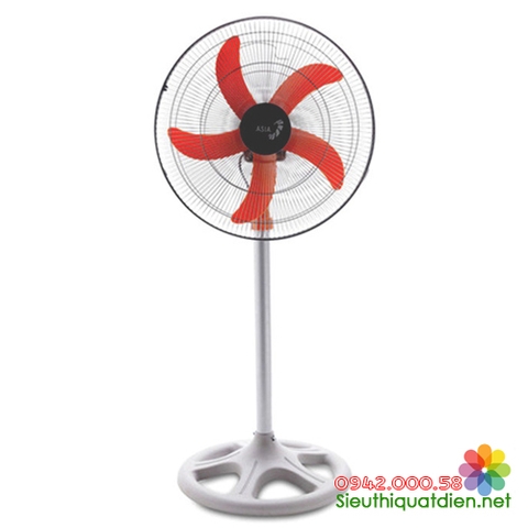 Quạ đứng Asia D18004