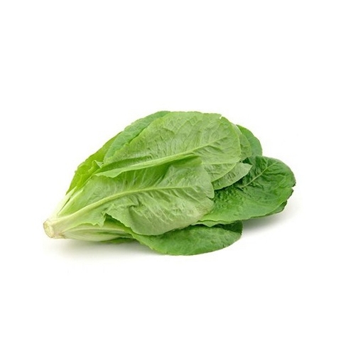 XÀ LÁCH ROMAINE HỮU CƠ 250G