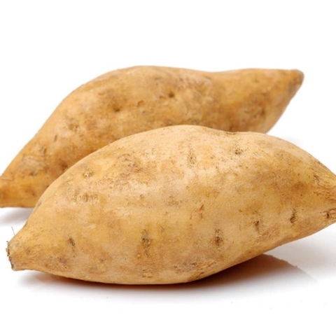 KHOAI LANG SỮA 1KG