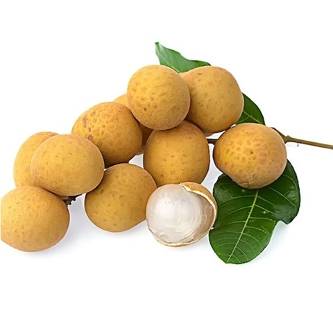 NHÃN INDO 1KG