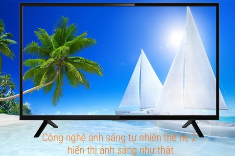 Smart Tivi TCL 49 inch L49S62