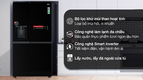 Tủ lạnh LG Inverter 635 Lít GR-D257WB