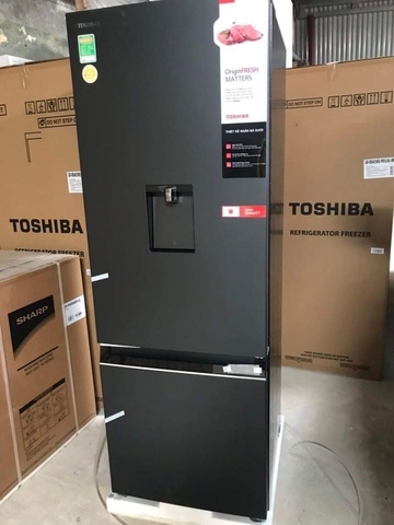 Tủ lạnh Toshiba Inverter 322 lít GR-RB405WE-PMV(06)-MG