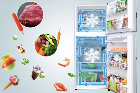 Tủ lạnh Hiatchi Inverter 366L FVX480PGV9 GBK